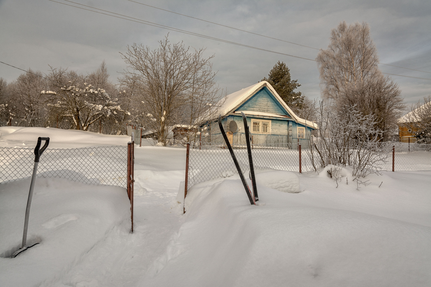 Жизнь вокруг