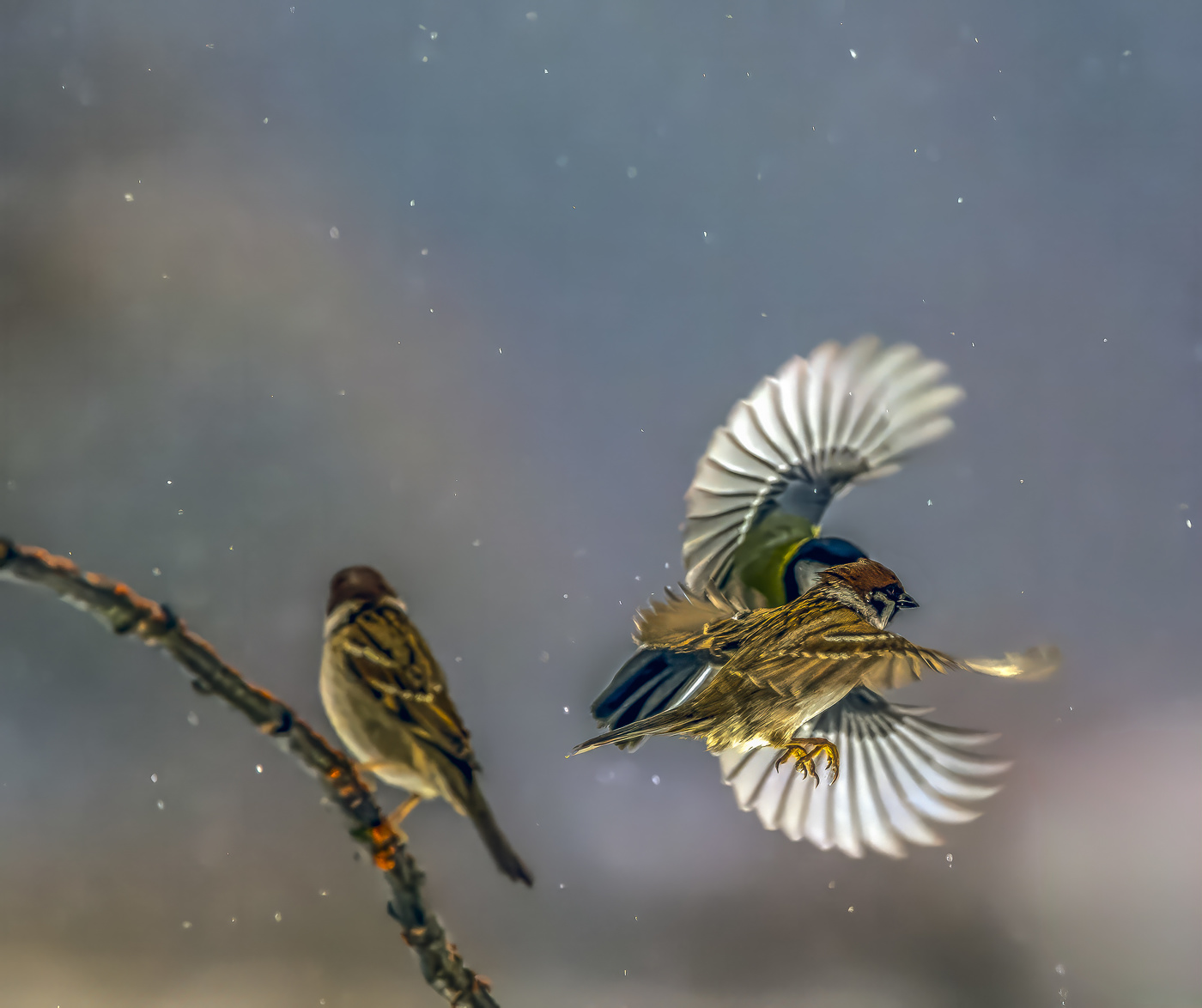 ТУР ВАЛЬСА...