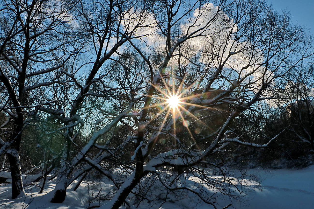 Мороз и солнце - день чудесный!