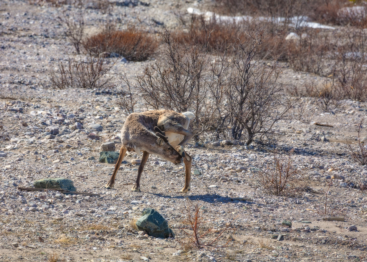 ... К выпивке