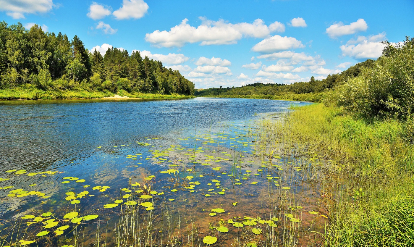 "И в звенящей тишине - вдруг рябь вибраций по воде ..."