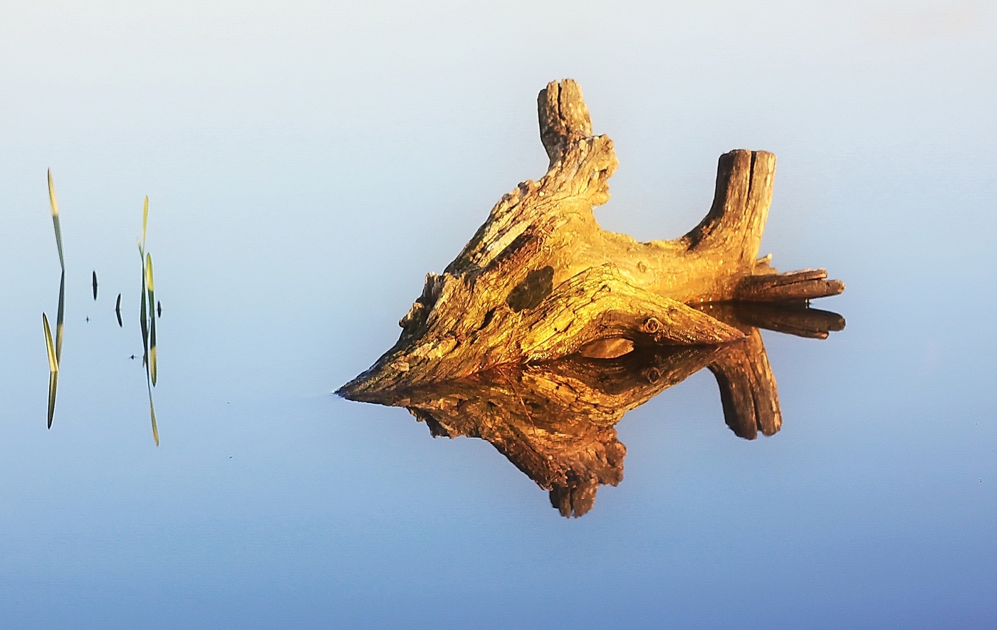 Скульптура акватории