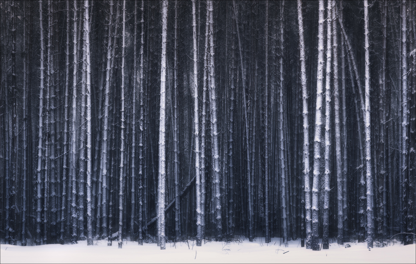 Лесной шепот