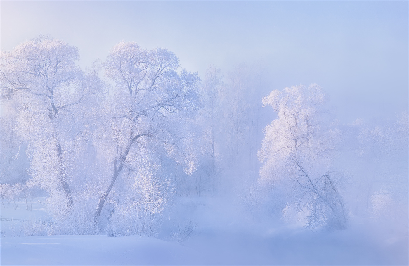 Зимние нежности