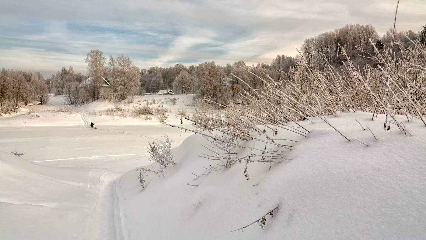 Жизнь вокруг
