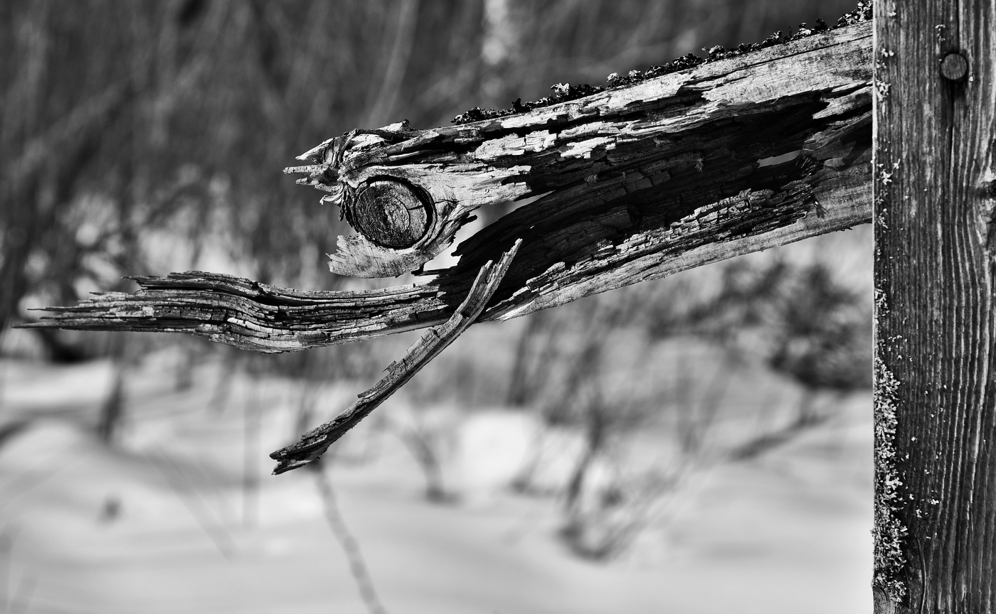 "Участие ко всем, кто терпит, как и я ..."