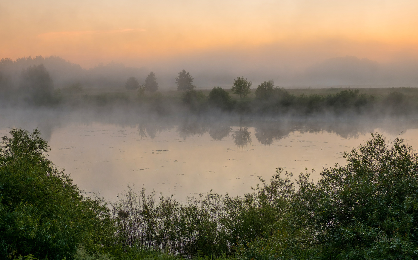 Летнее утро.