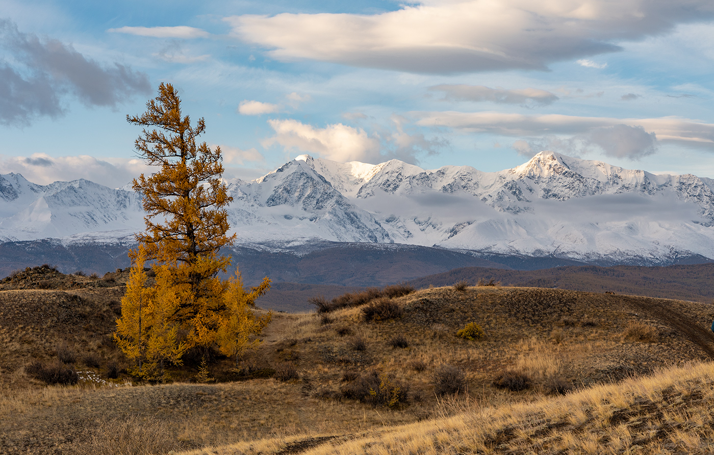 Одна из многих