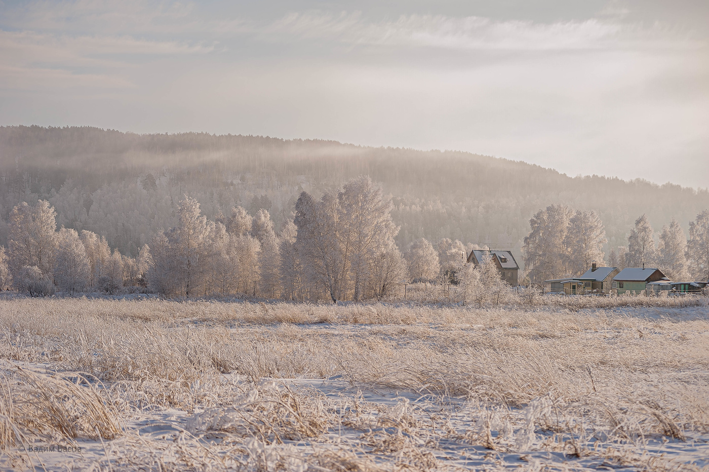 У леса, на опушке.