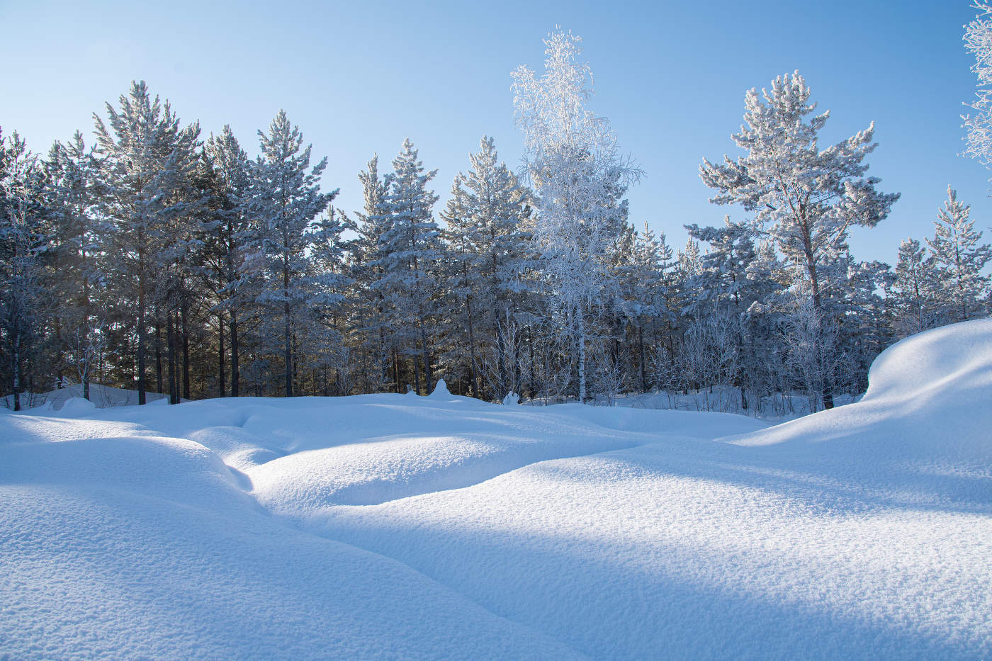 Февральское солнце