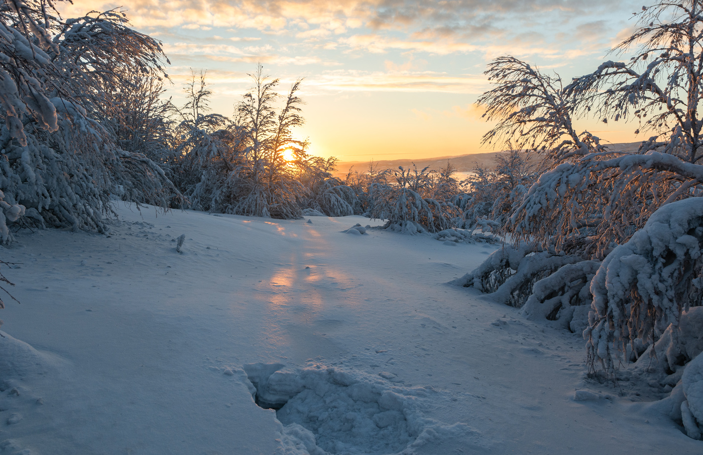 снежная зима