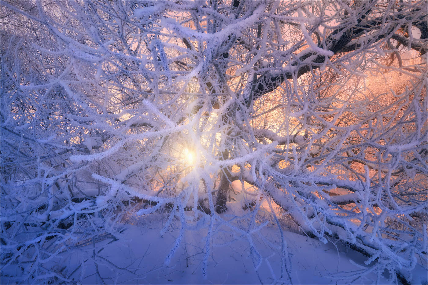 Морозные объятия