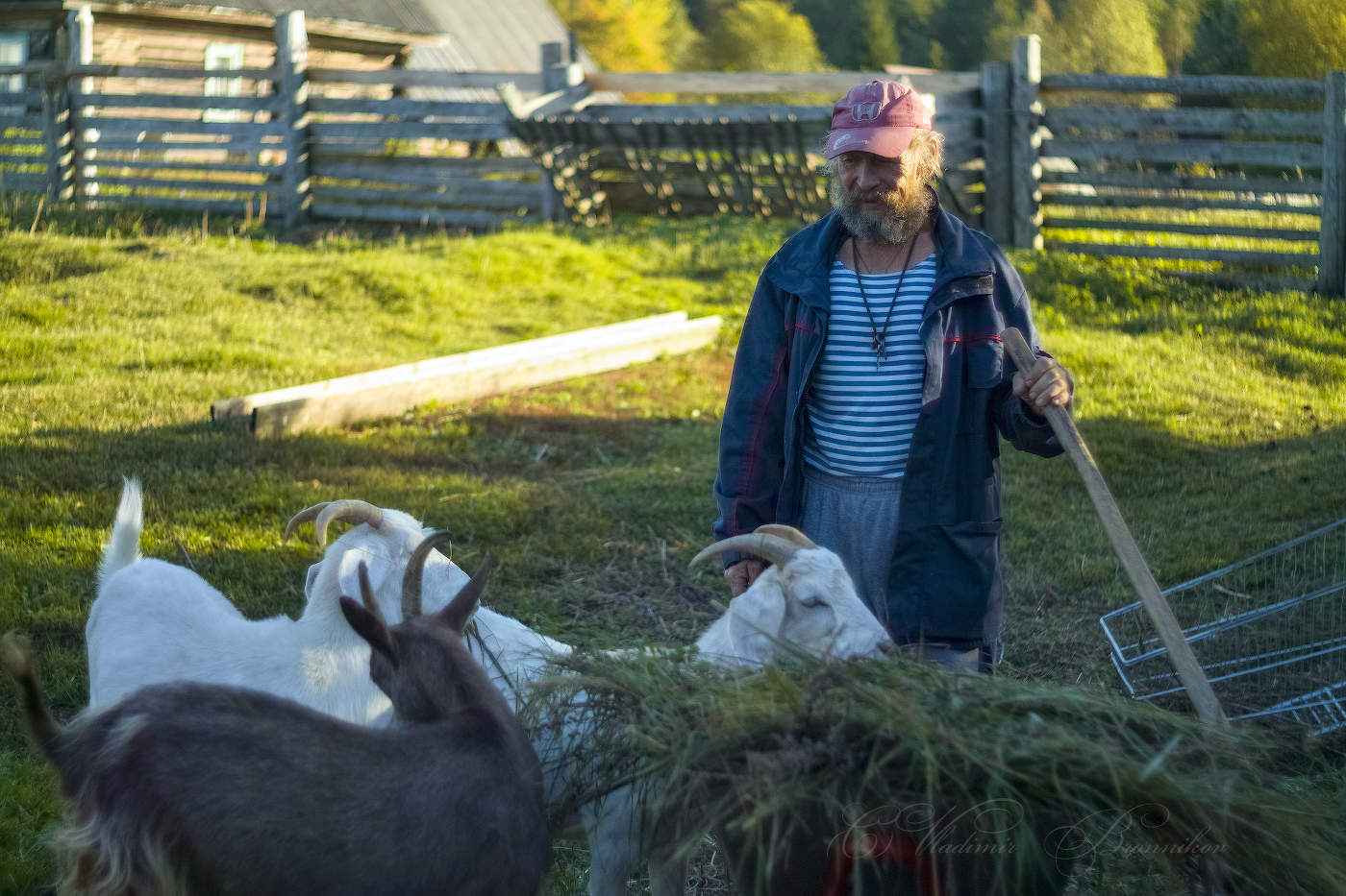 Прошу к столу, девчонки.