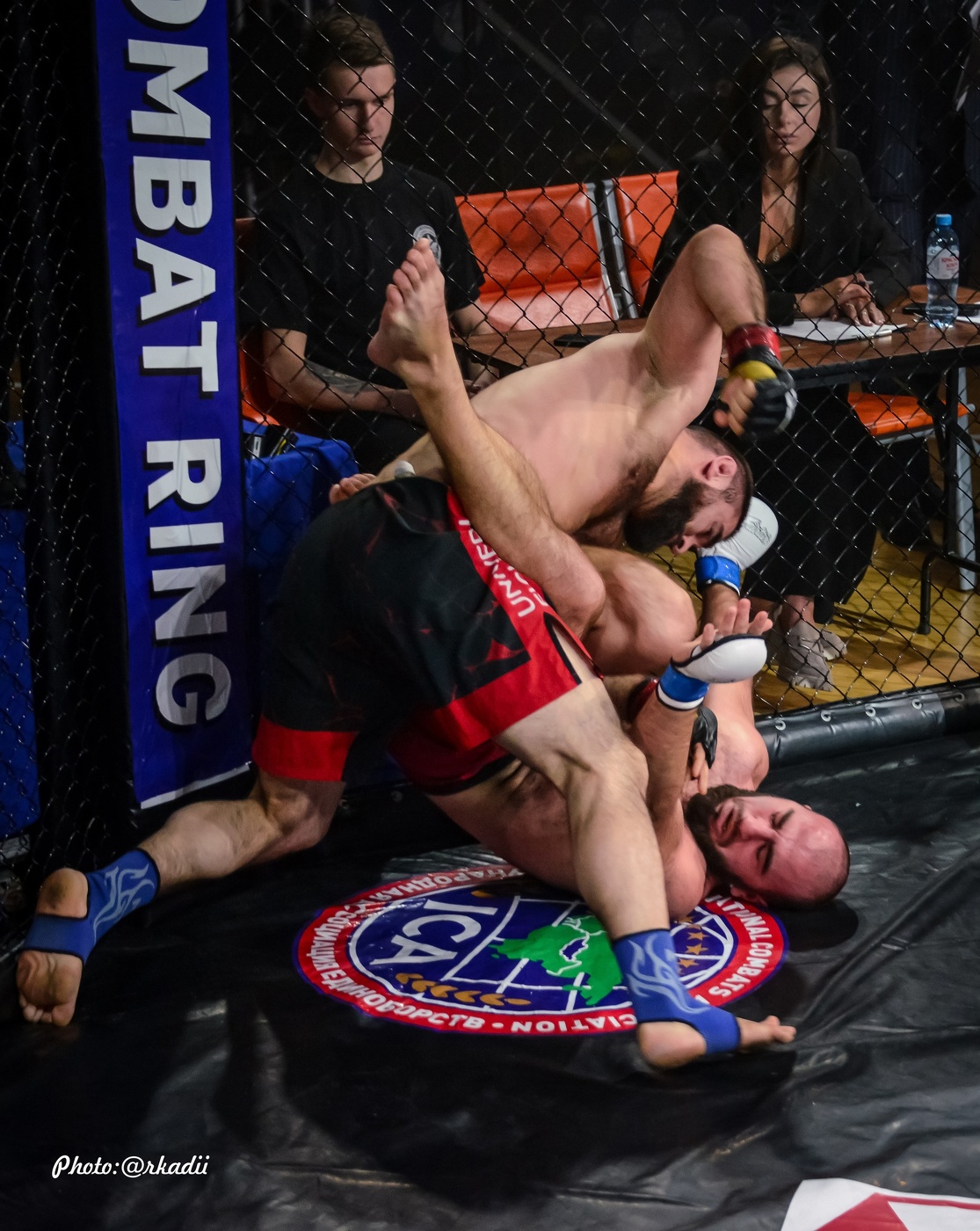 Красота поединка