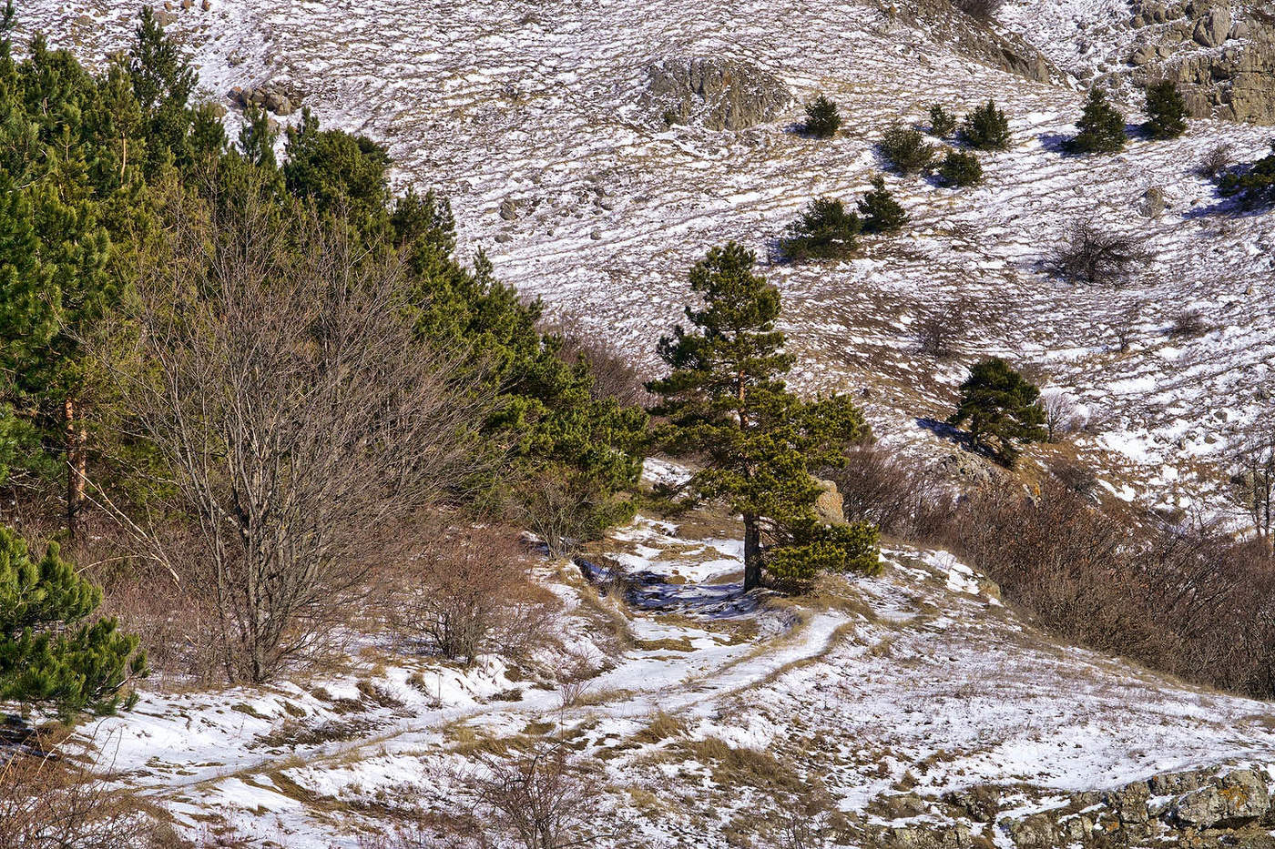 На Северном Демерджи