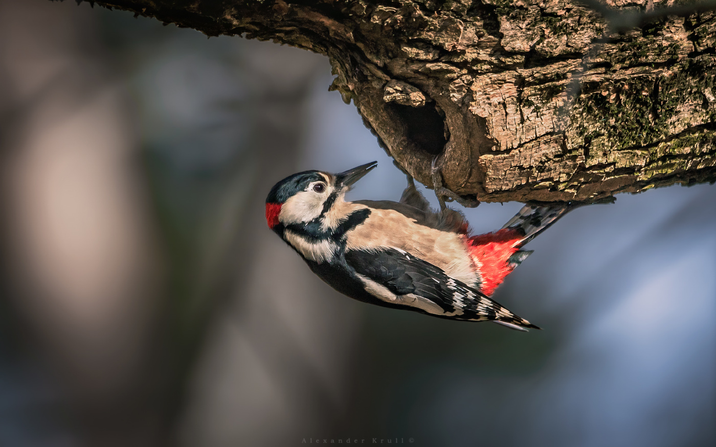 Что тут у нас?