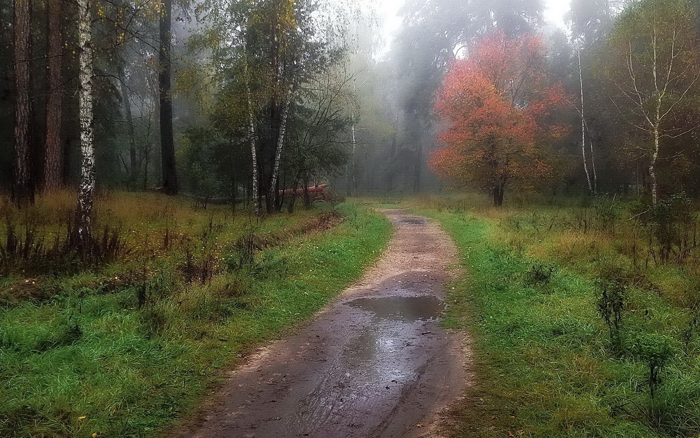 Осенний мотив