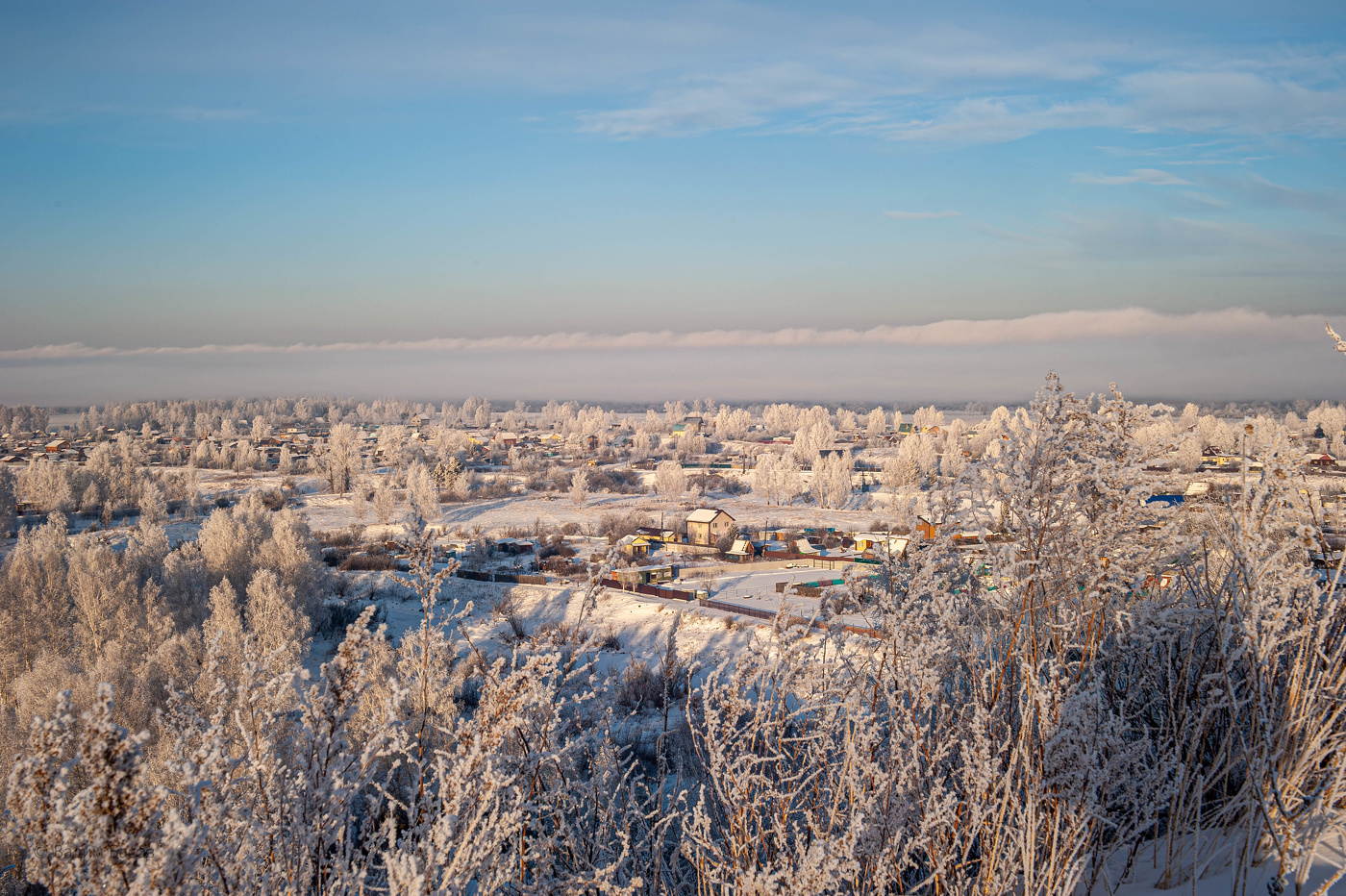 Красота этих дней.