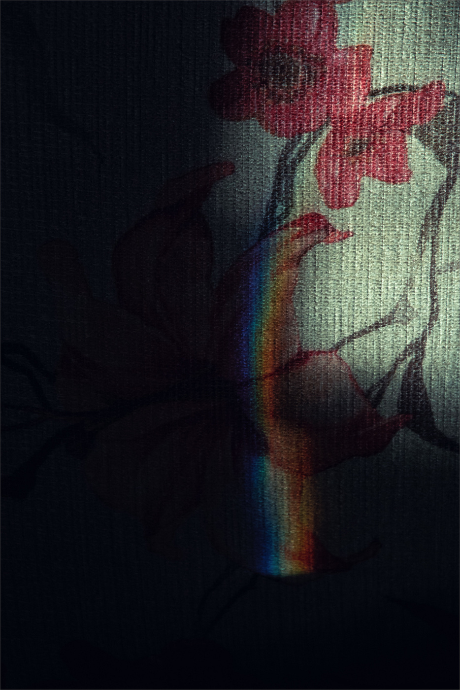 Жизнь вокруг