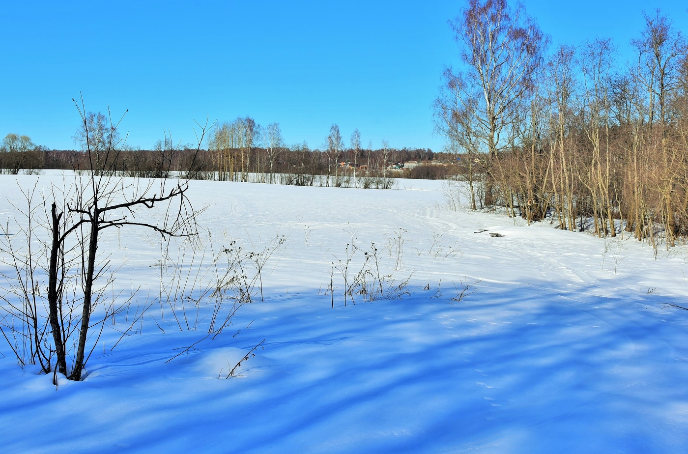 Зимний этюд ...