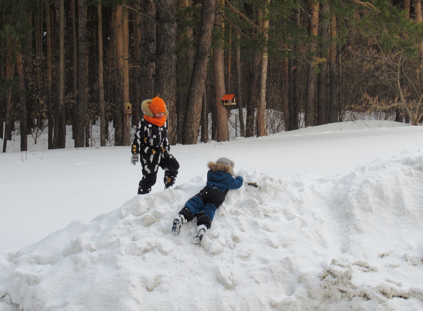 Покорители сугробов
