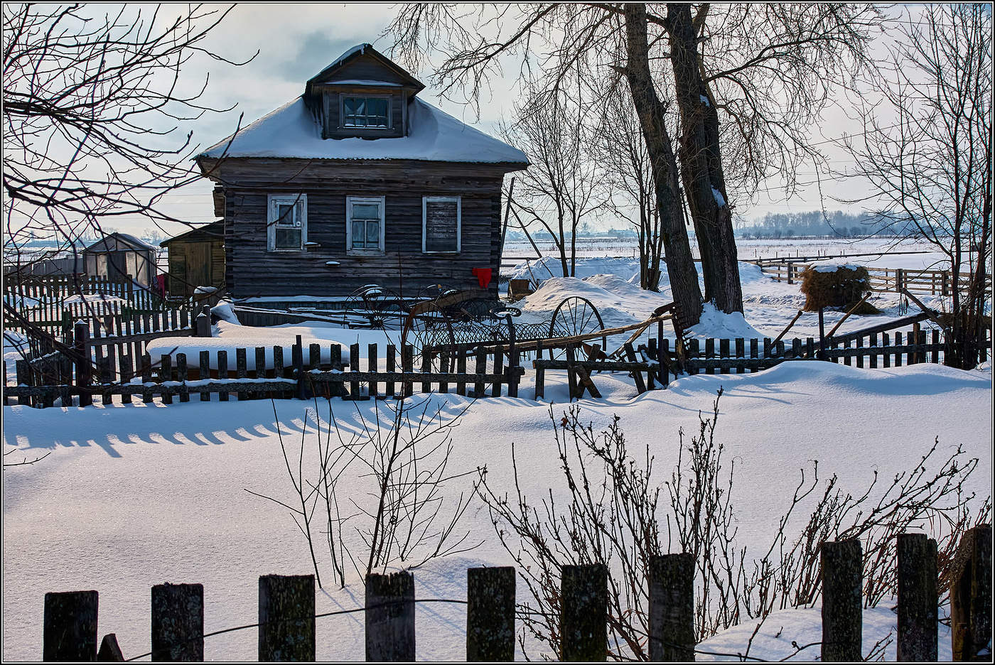 Чёрно-белая зима.