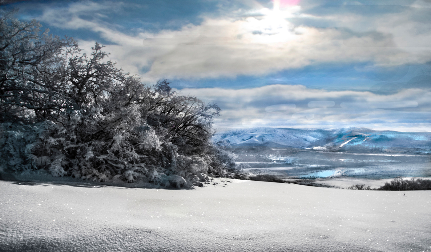 На солнечной поляночке