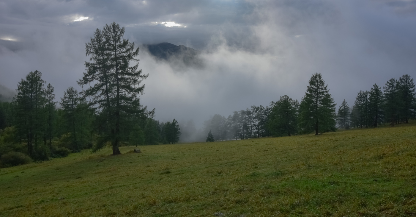 Туман после дождя