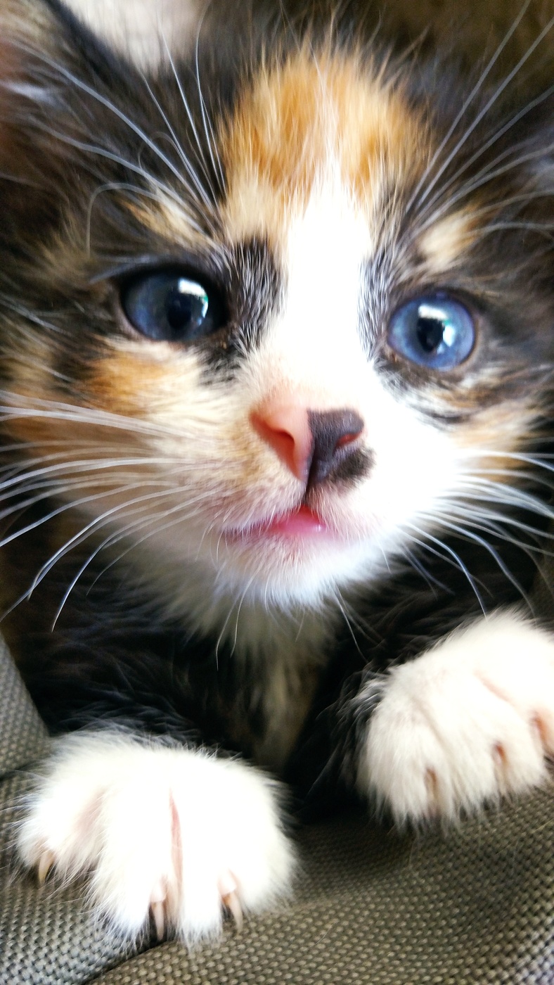 Жизнь вокруг