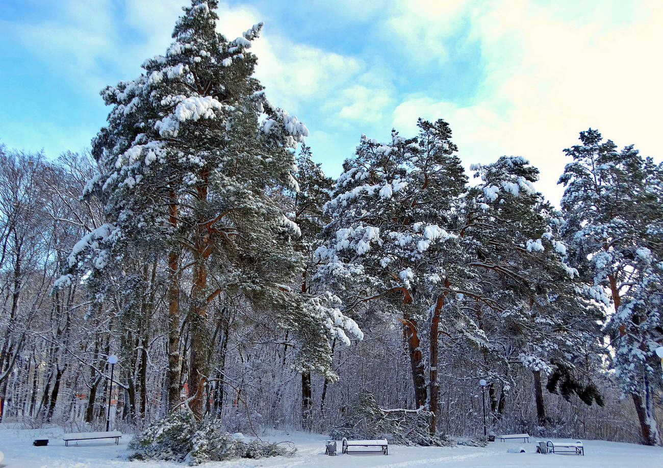 Парк укрыло снегом