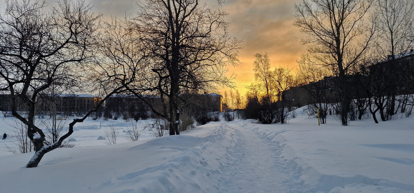 Зимнее утро