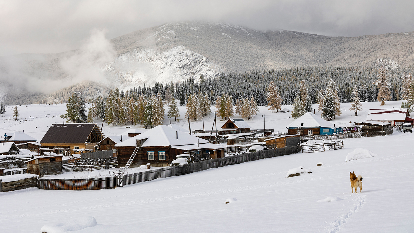 Представитель местной власти