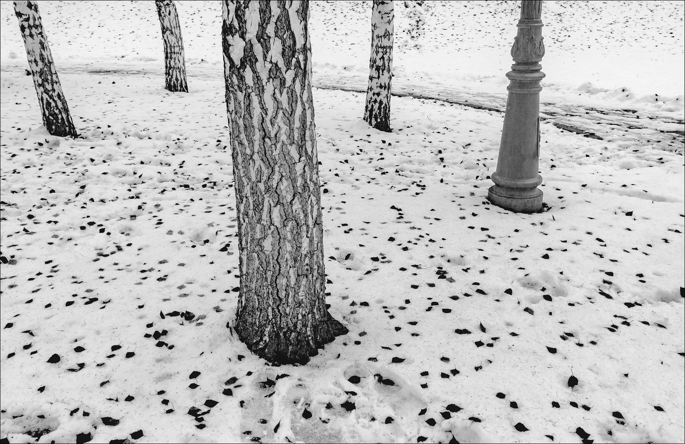 Признаки зимы.