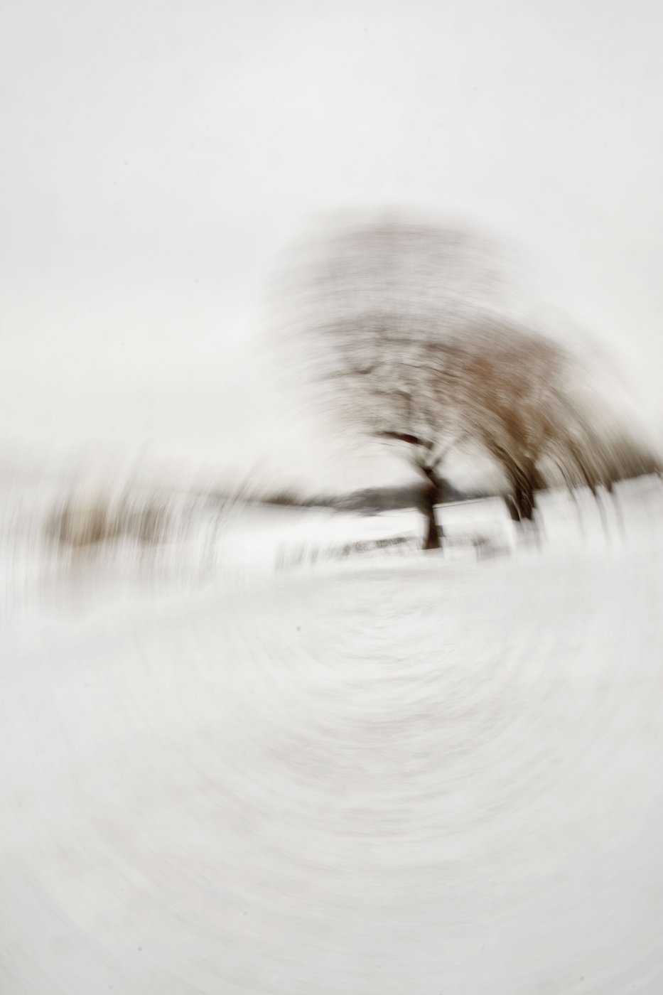 Жизнь вокруг