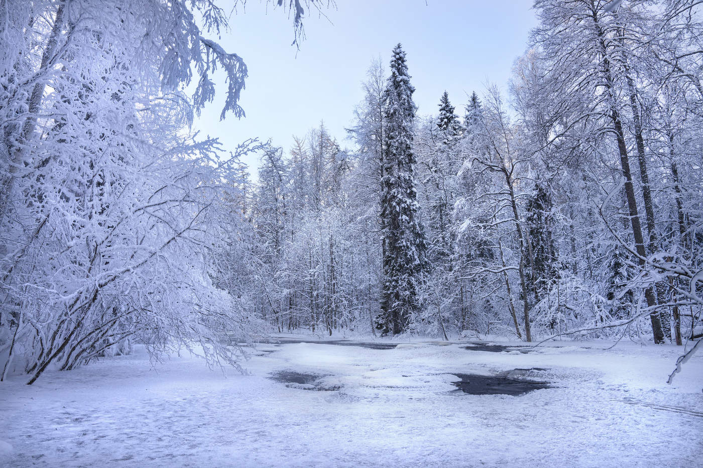 Зимняя картинка