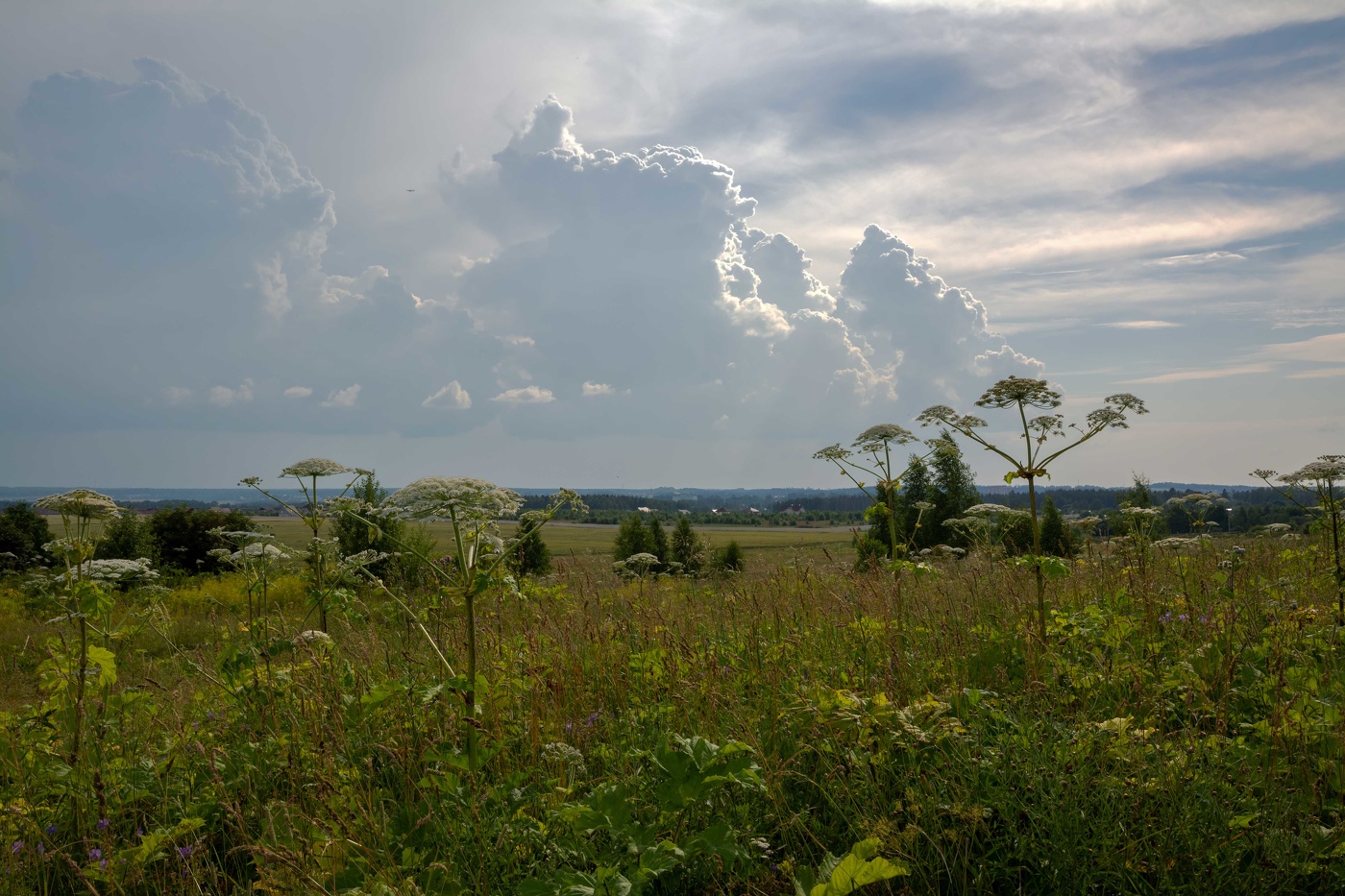 ожидание грозы