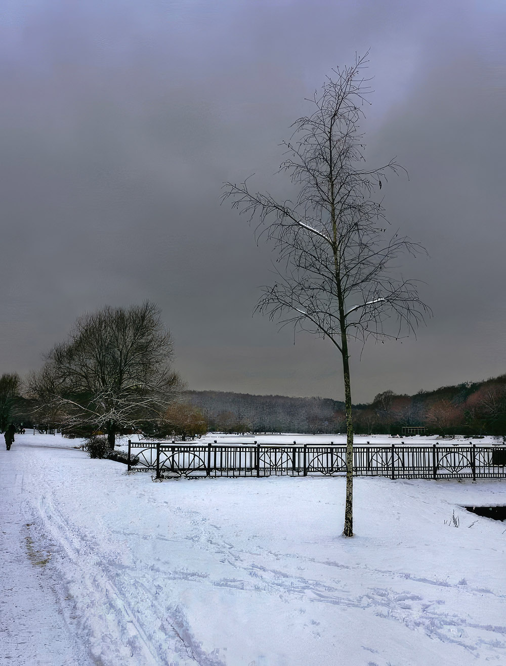 Терлецкий парк (давно)