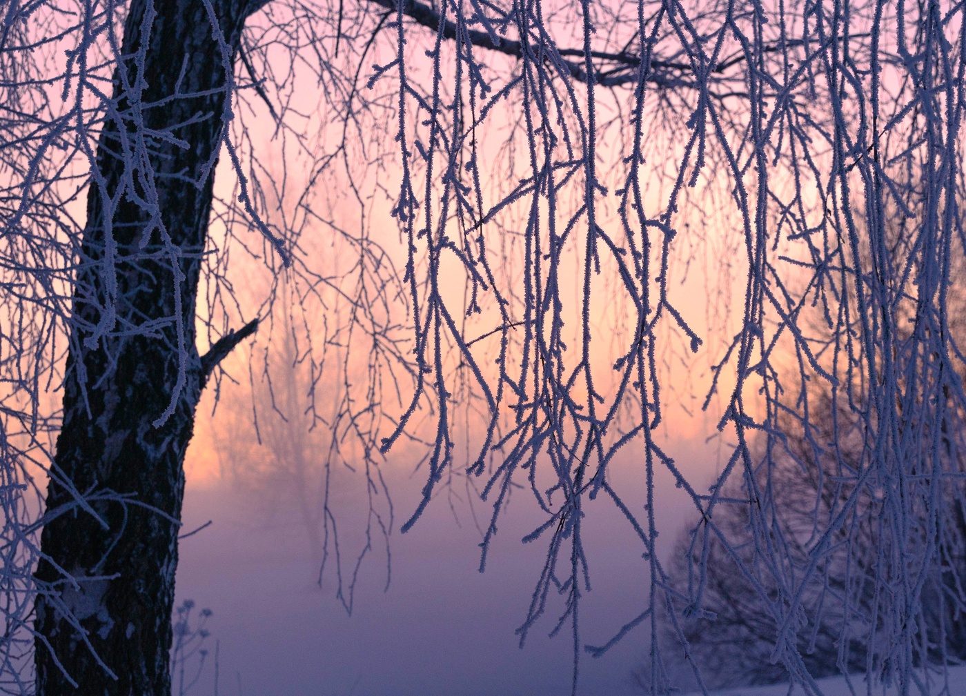 Зимний закат