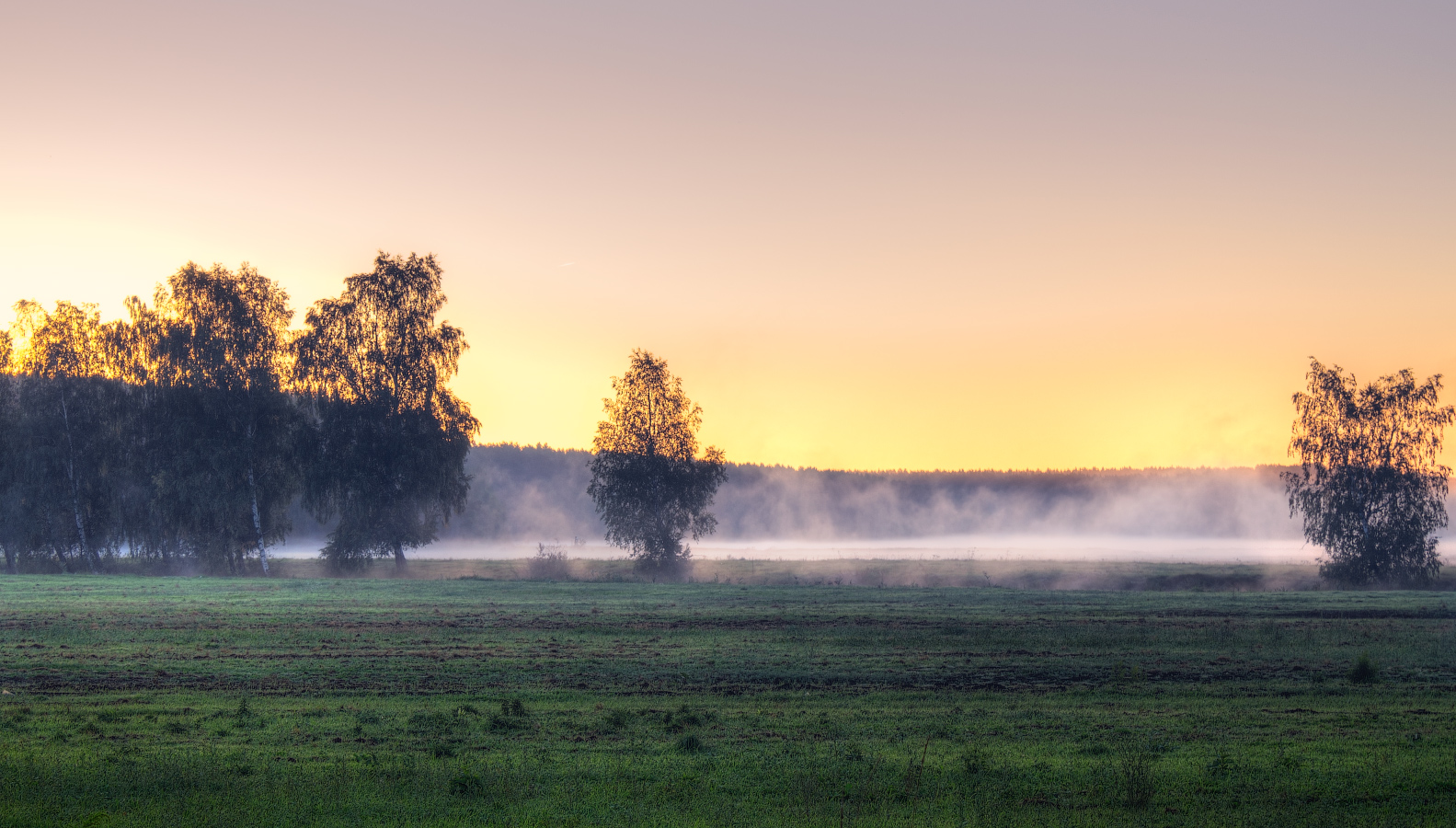 Утро туманов