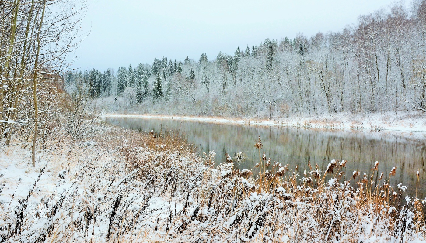 Зима посеребрила берега реки ...