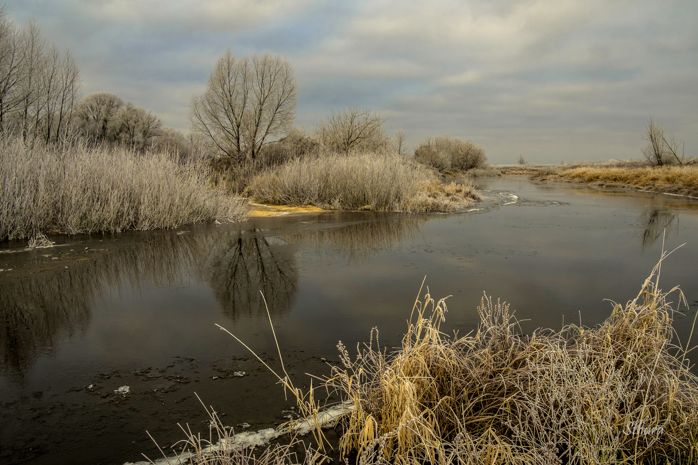 Речка Шлюзовая. Ноябрь.