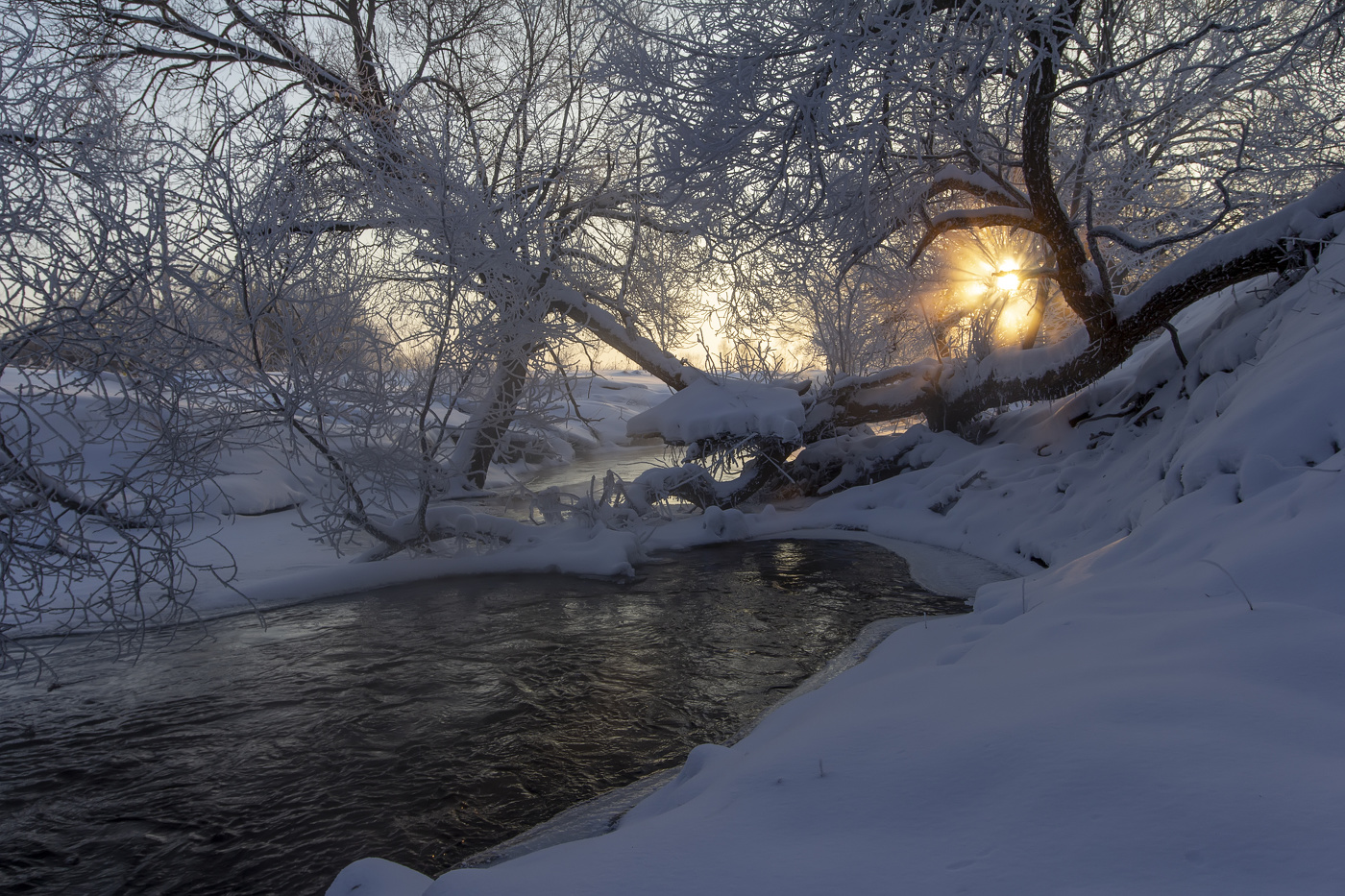 Морозное утро...