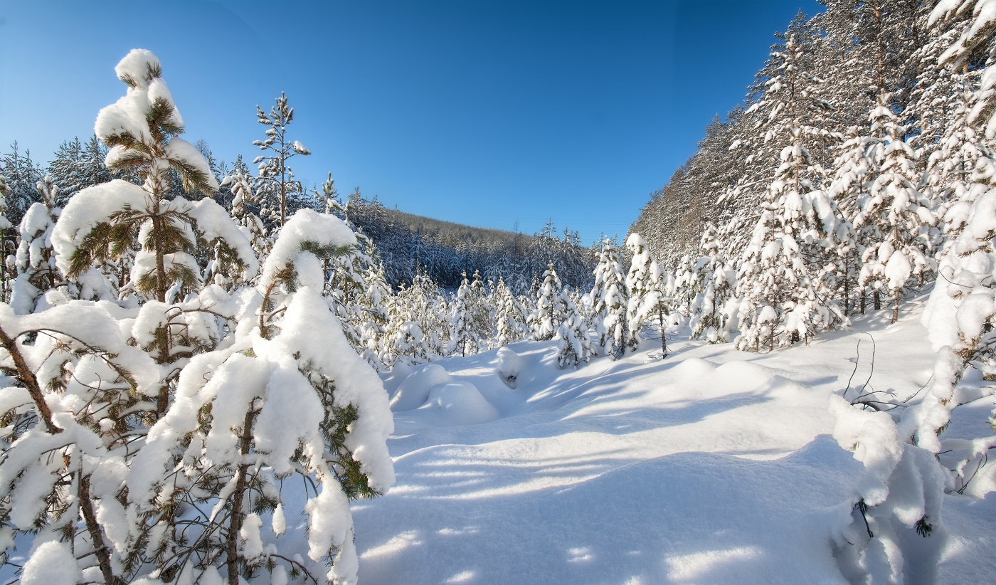 Заснеженность