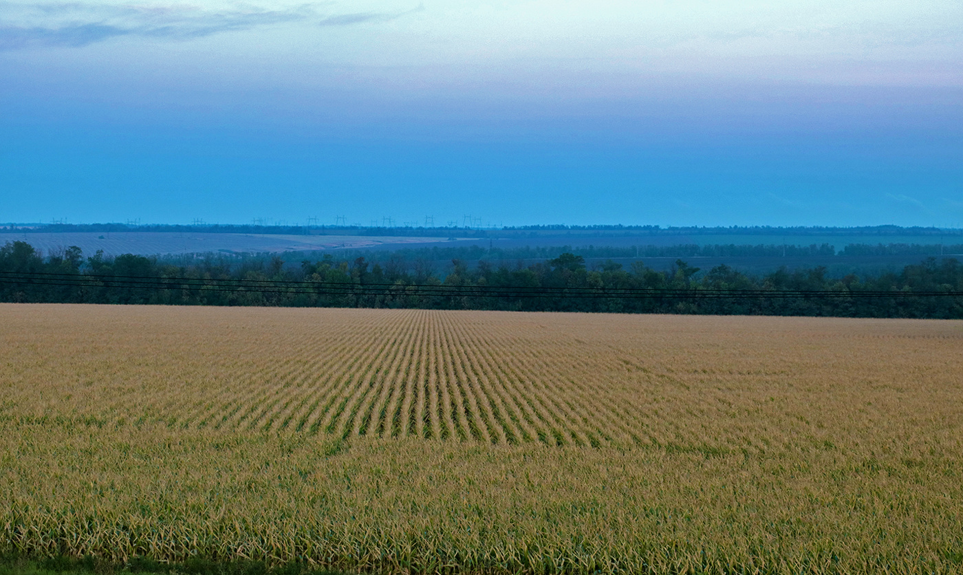 Полюшко-поле - русское раздолье...