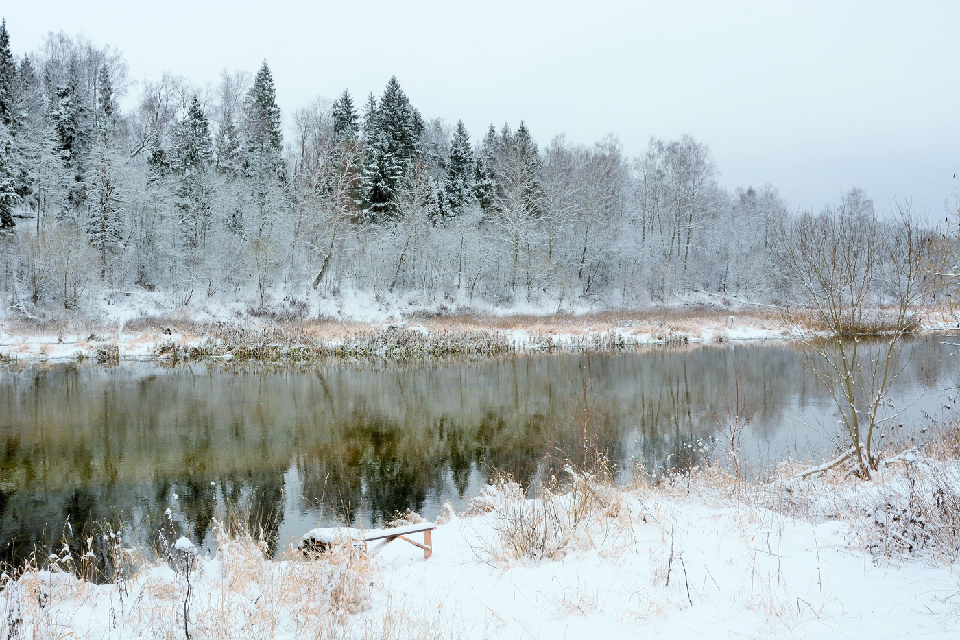 Ноябрь. Вот и первый снег ...