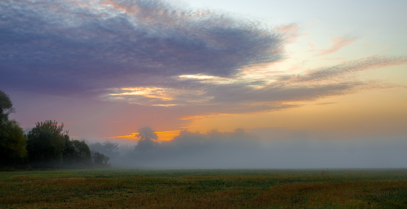 Осенее утро в поле.
