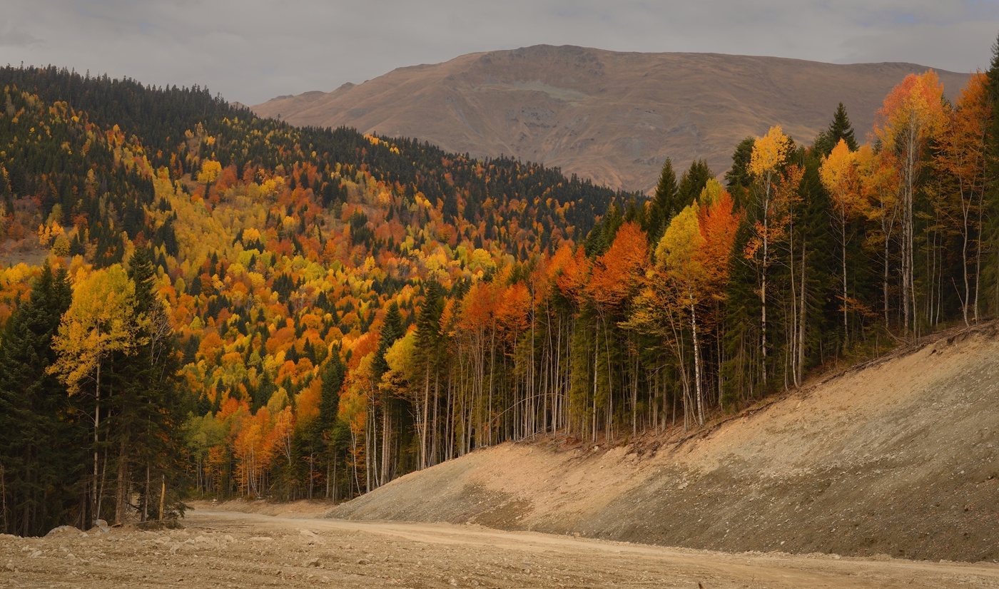 Осеняя дорога