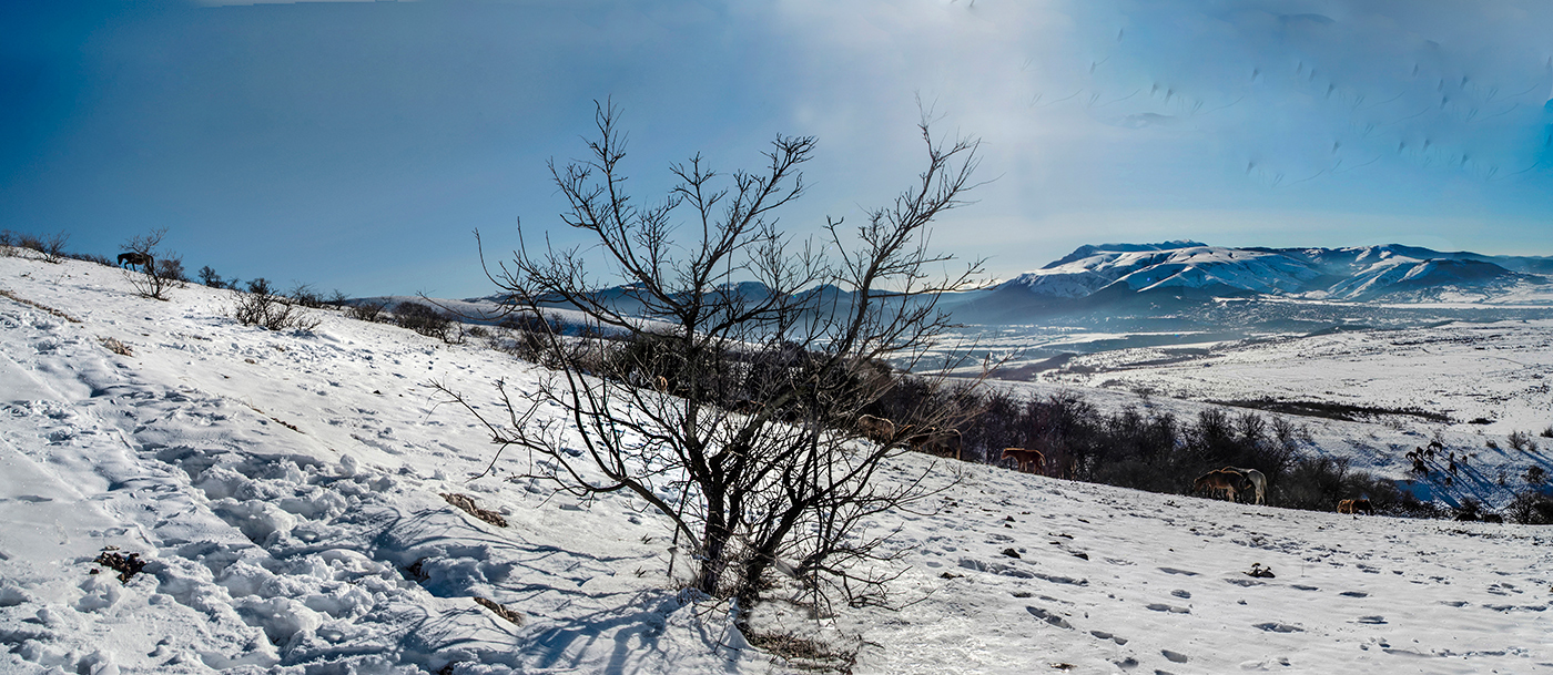 Зимние картинки