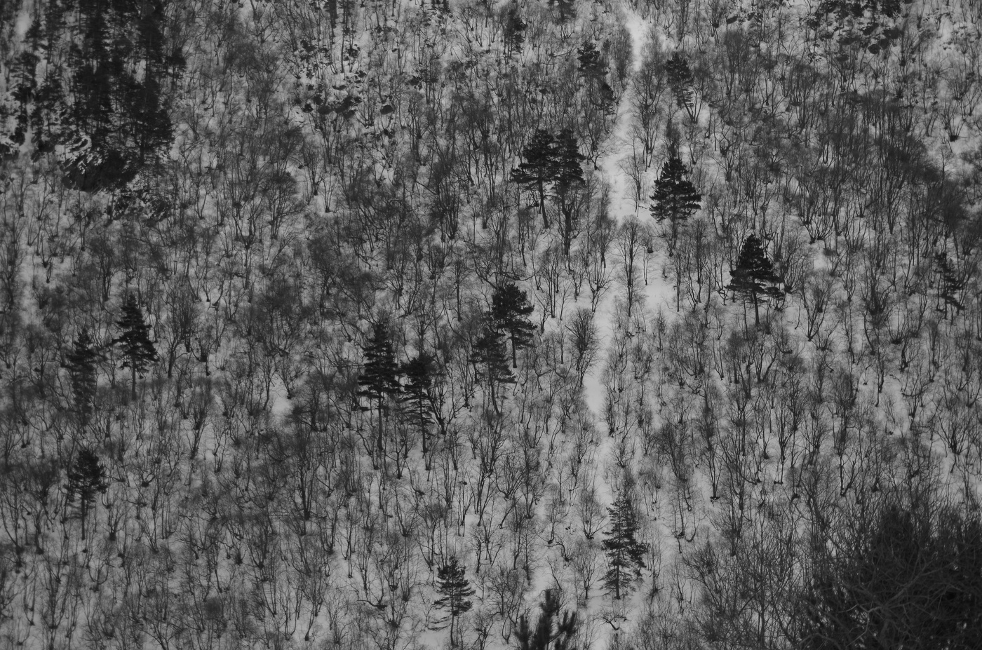 Гора напротив