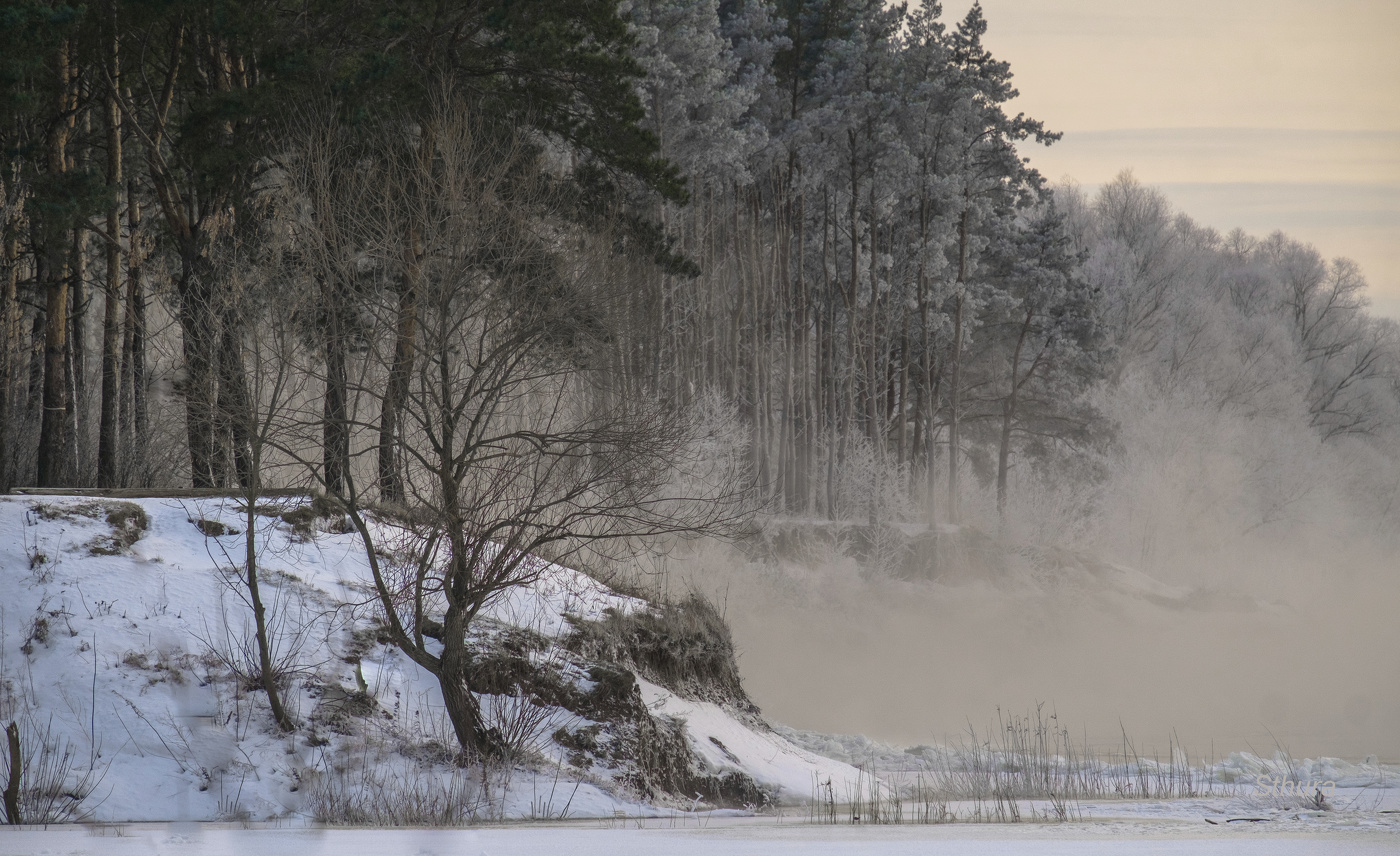 Морозный вечер.